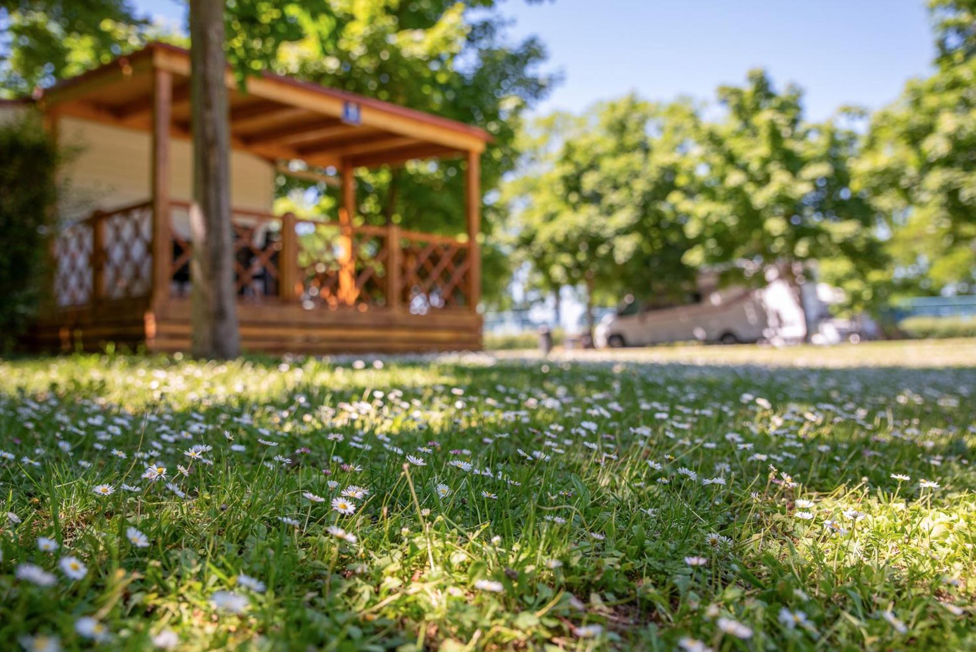 Hungarospa Thermal Camping Mobilház Hajduszoboszlo Exterior foto